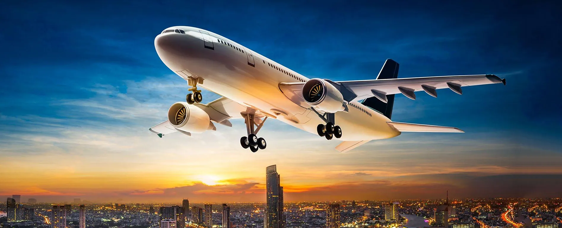 Import Export Consultant