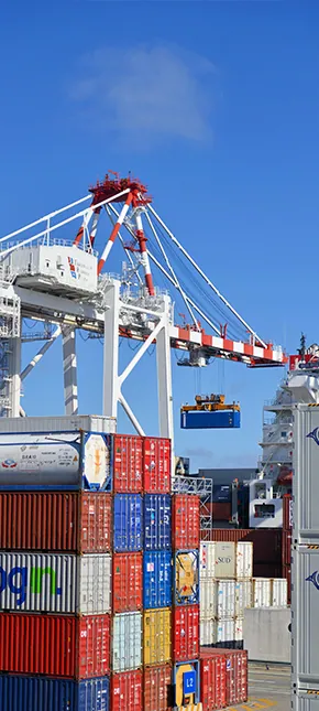 Best Sea Freight Forwarder